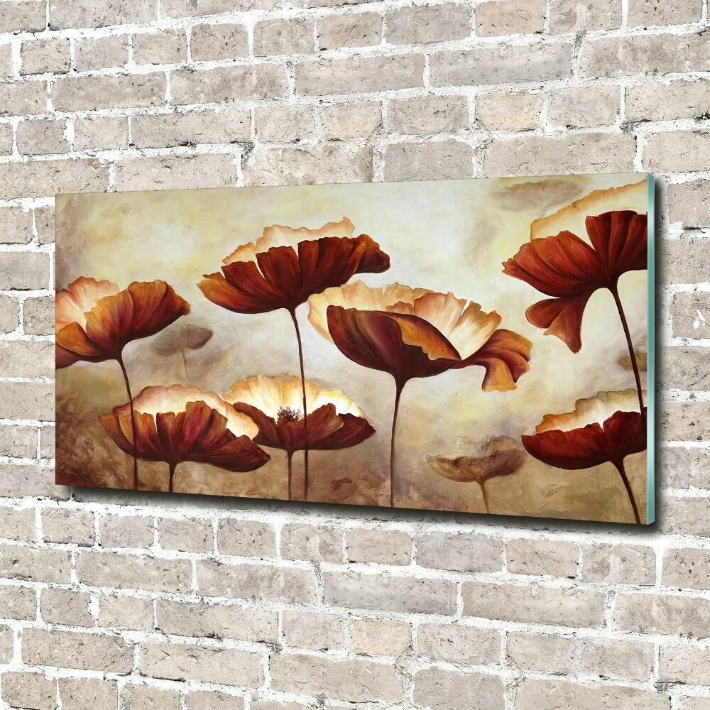 Tableau verre acrylique Coquelicots rouges