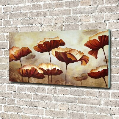 Tableau verre acrylique Coquelicots rouges