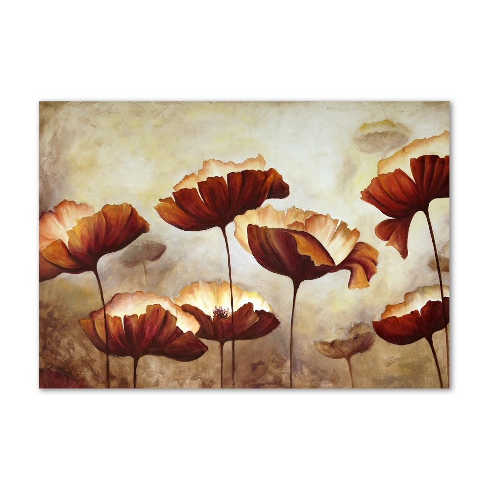 Tableau verre acrylique Coquelicots rouges