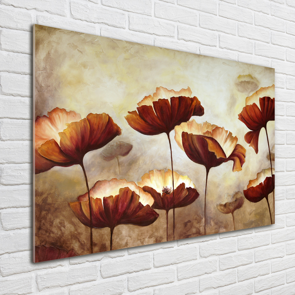 Tableau verre acrylique Coquelicots rouges