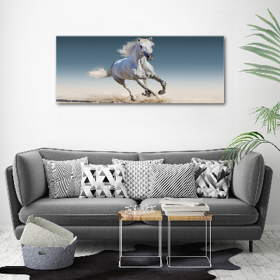 Tableau sur verre acrylique Cheval blanc au galop