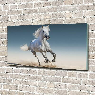 Tableau sur verre acrylique Cheval blanc au galop