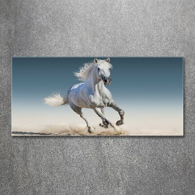 Tableau sur verre acrylique Cheval blanc au galop