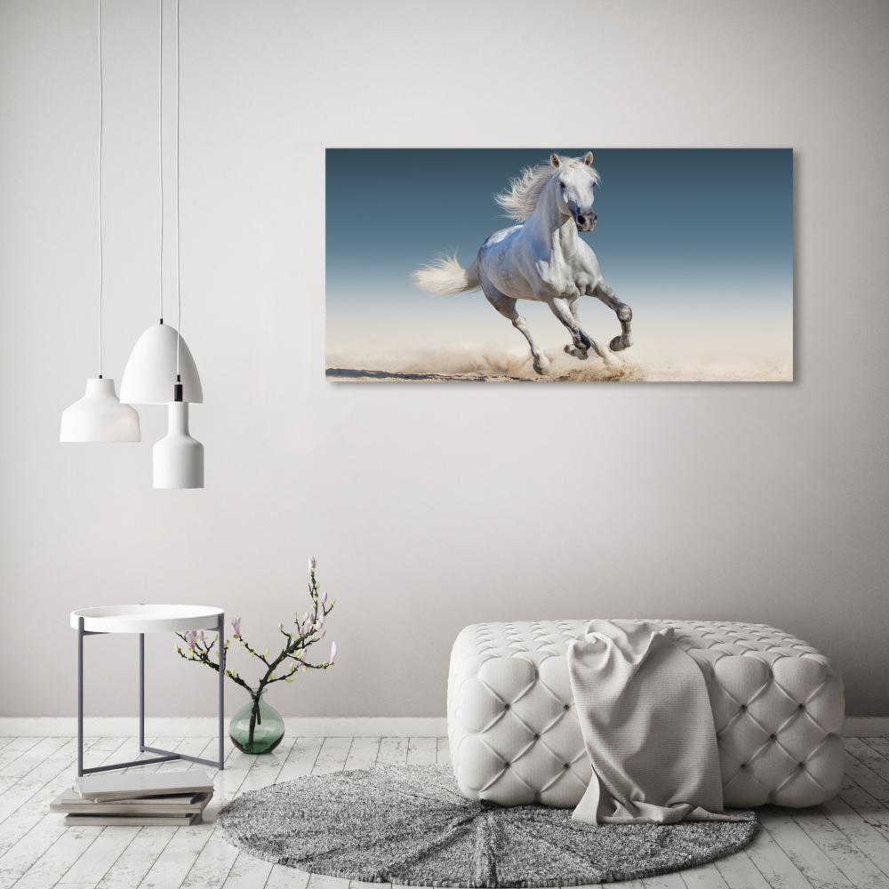 Tableau sur verre acrylique Cheval blanc au galop