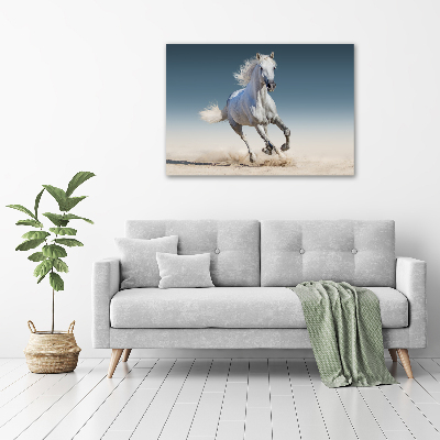 Tableau sur verre acrylique Cheval blanc au galop