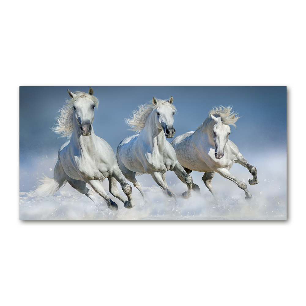 Tableau sur verre acrylique Chevaux de marche