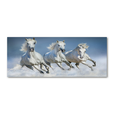 Tableau sur verre acrylique Chevaux de marche