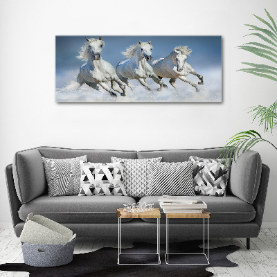 Tableau sur verre acrylique Chevaux de marche