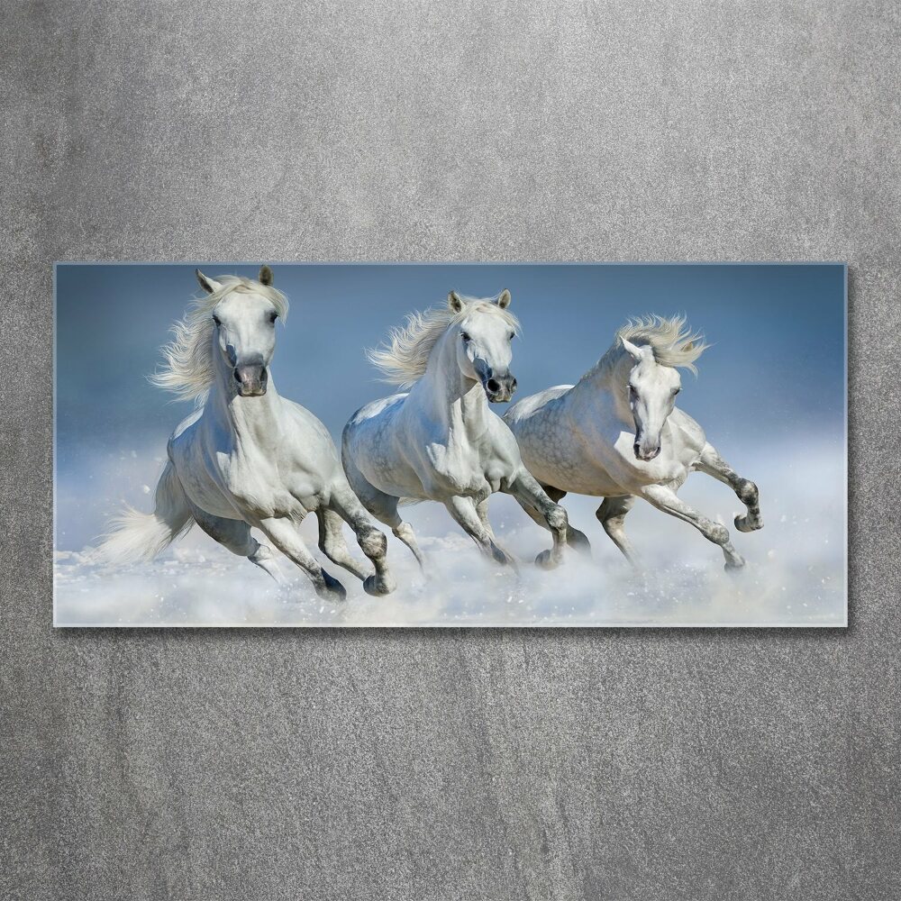 Tableau sur verre acrylique Chevaux de marche