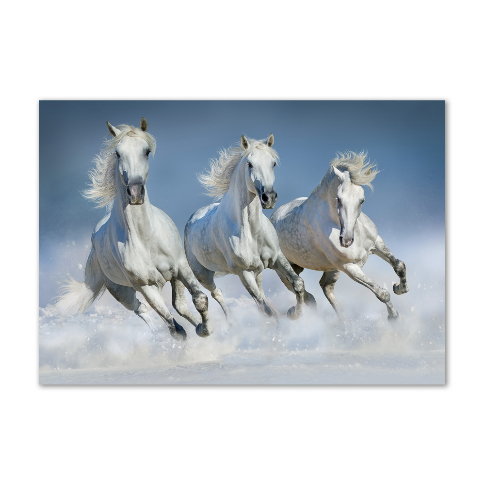 Tableau sur verre acrylique Chevaux de marche