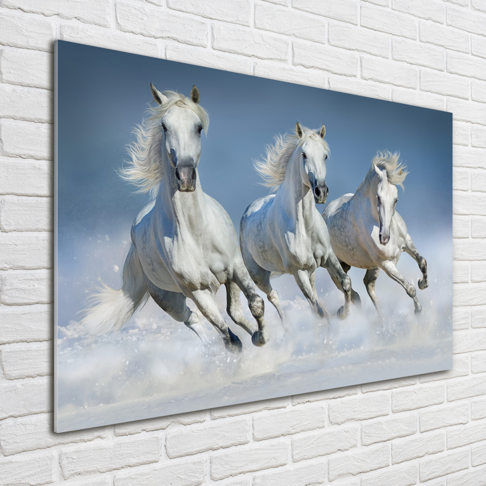 Tableau sur verre acrylique Chevaux de marche