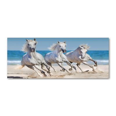 Tableau verre acrylique Plage de chevaux blancs