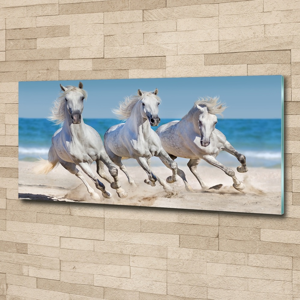 Tableau verre acrylique Plage de chevaux blancs