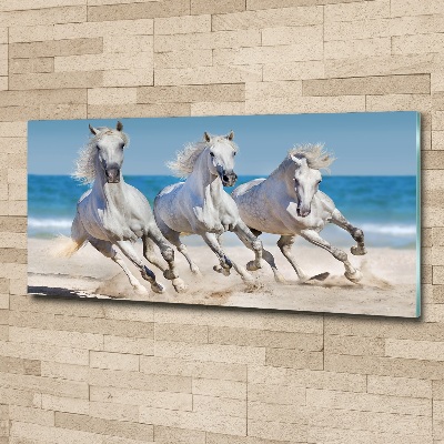 Tableau verre acrylique Plage de chevaux blancs