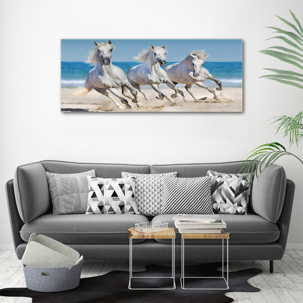 Tableau verre acrylique Plage de chevaux blancs