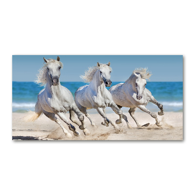 Tableau verre acrylique Plage de chevaux blancs