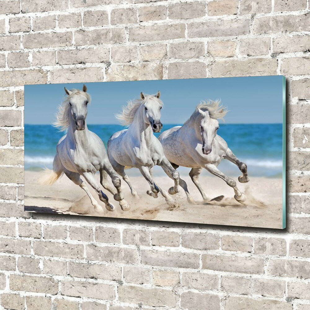 Tableau verre acrylique Plage de chevaux blancs