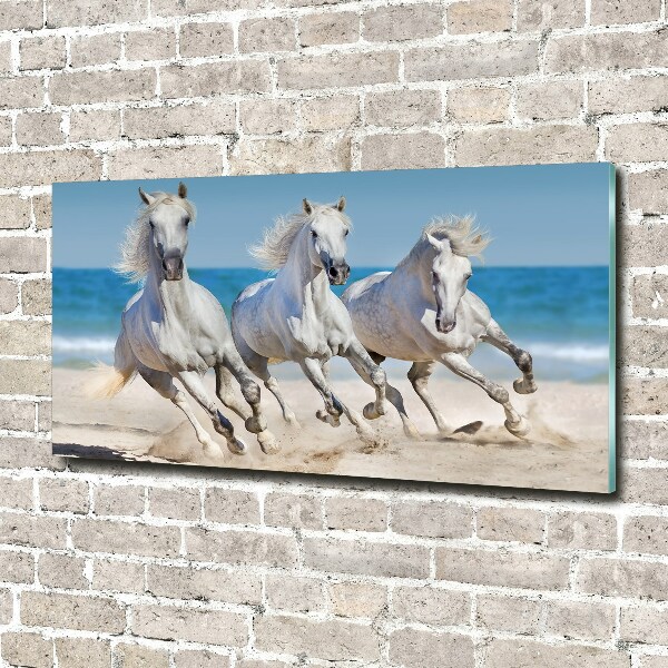 Tableau verre acrylique Plage de chevaux blancs
