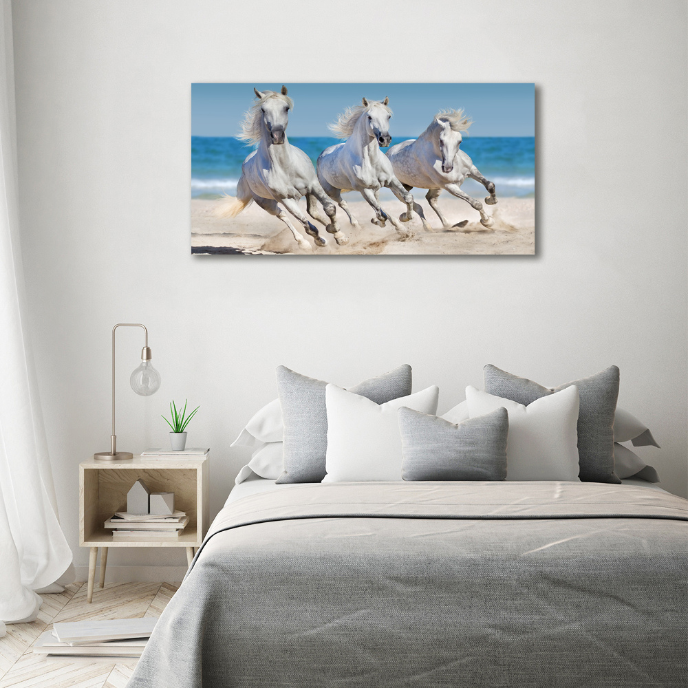 Tableau verre acrylique Plage de chevaux blancs