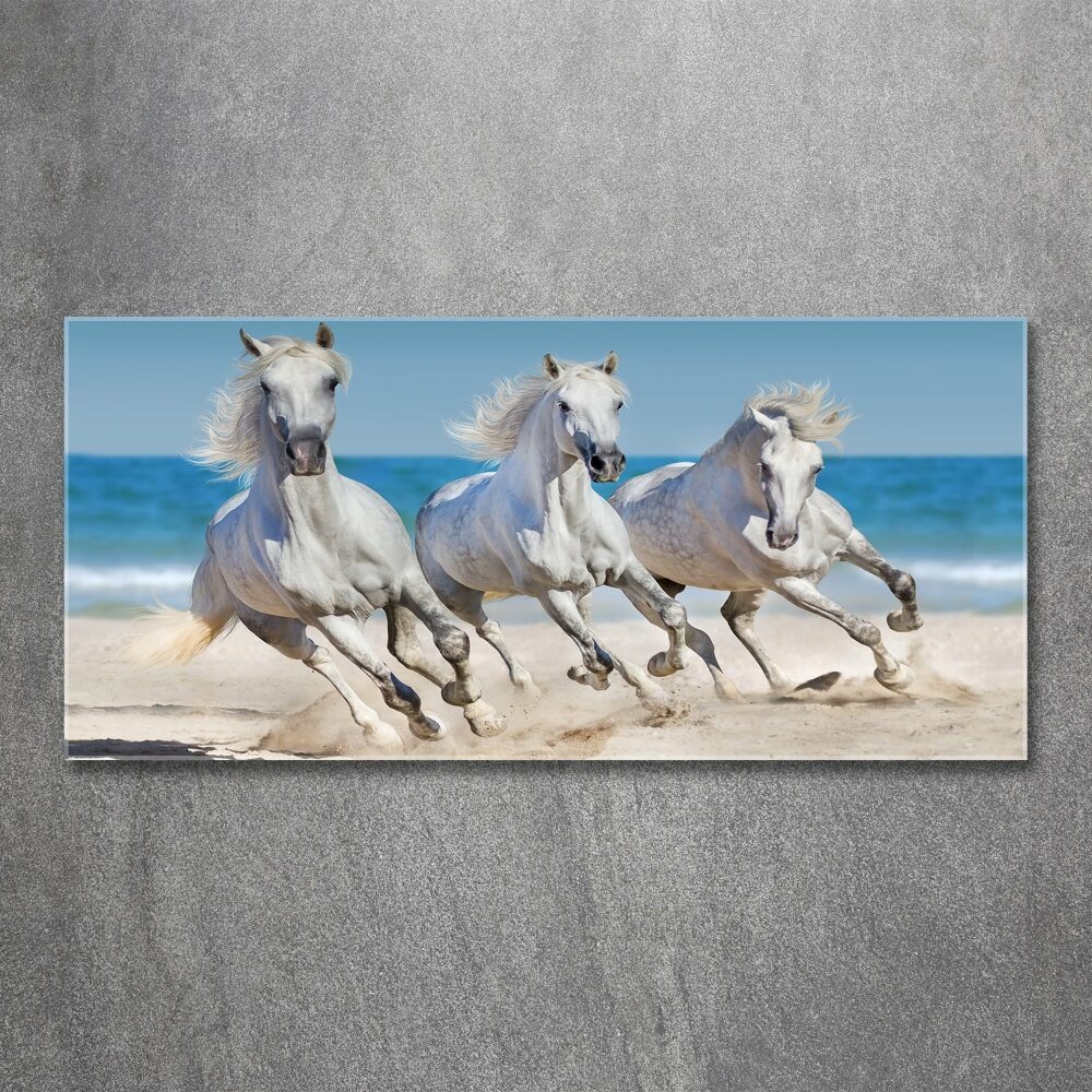 Tableau verre acrylique Plage de chevaux blancs