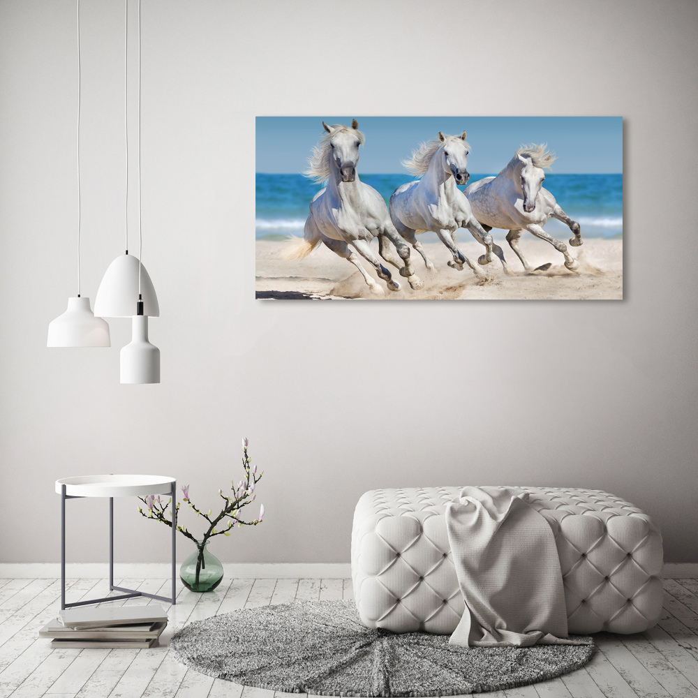 Tableau verre acrylique Plage de chevaux blancs