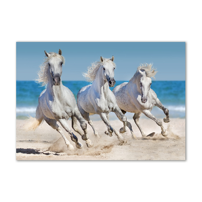 Tableau verre acrylique Plage de chevaux blancs