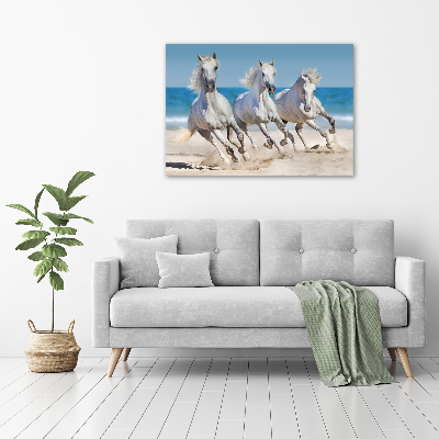 Tableau verre acrylique Plage de chevaux blancs