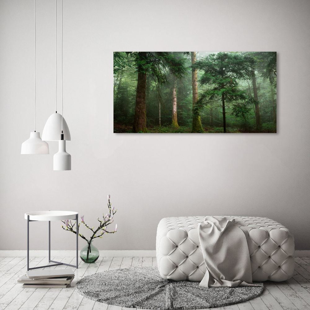 Tableau acrylique Brume dans la forêt