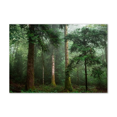 Tableau acrylique Brume dans la forêt