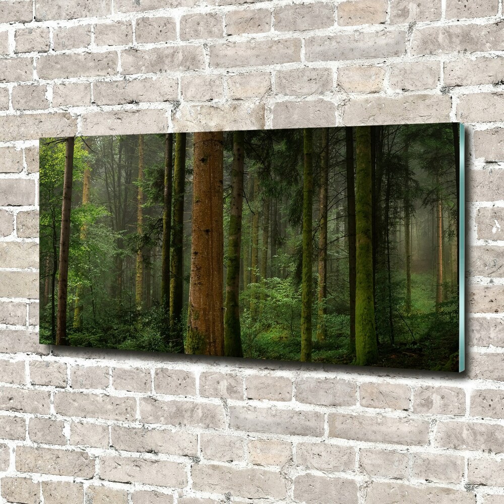 Acrylique tableau Le brouillard dans la forêt