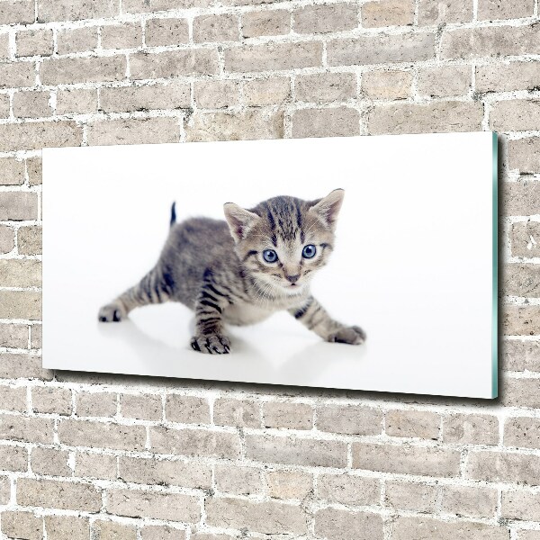 Acrylique tableau Petit chat