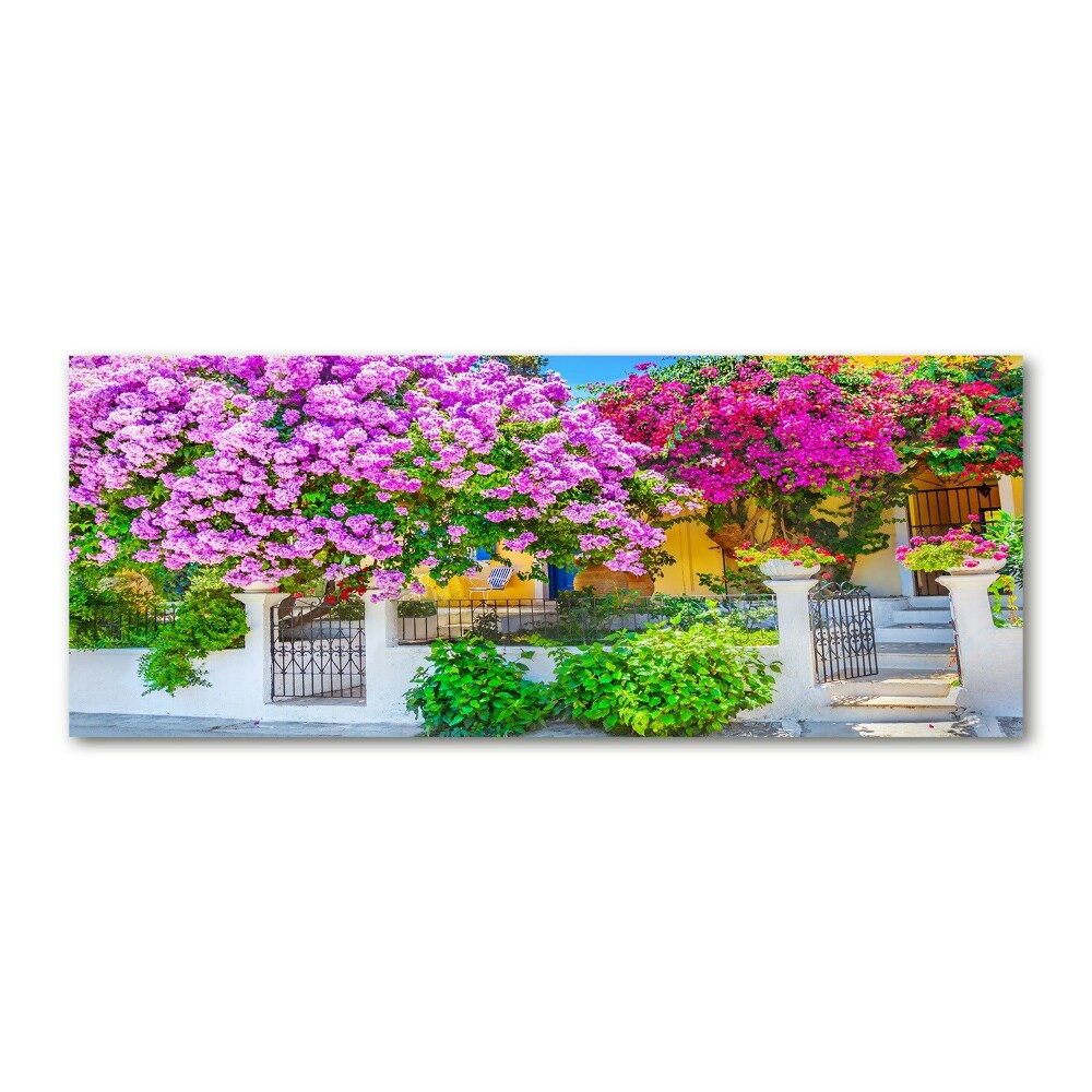 Tableau acrylique Maison avec bougainvilliers