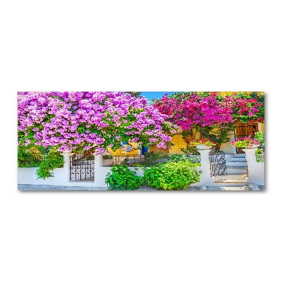 Tableau acrylique Maison avec bougainvilliers