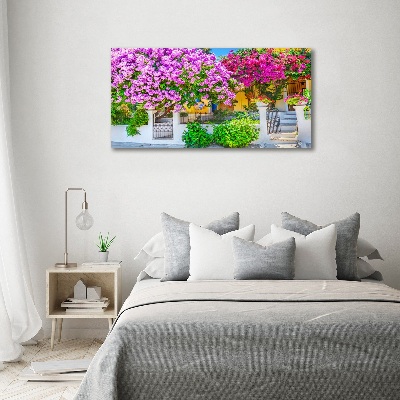 Tableau acrylique Maison avec bougainvilliers