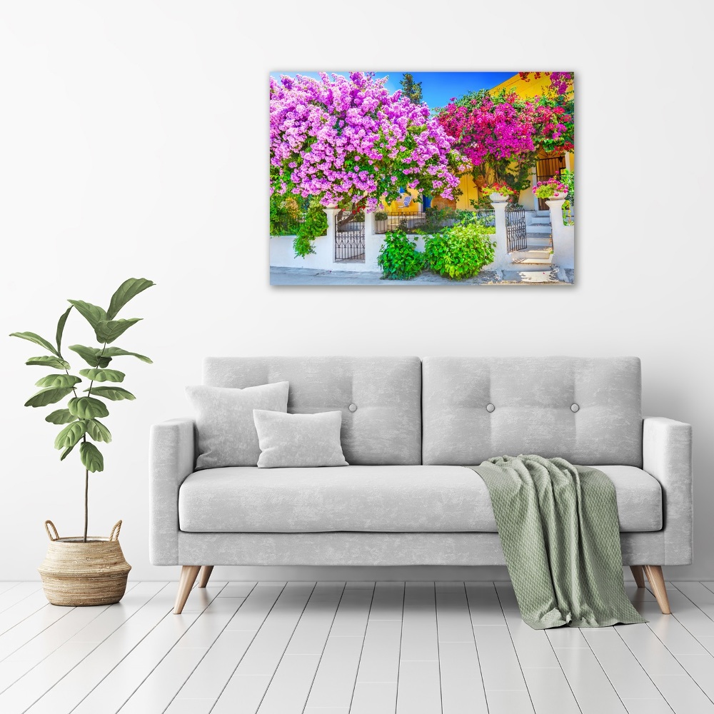 Tableau acrylique Maison avec bougainvilliers