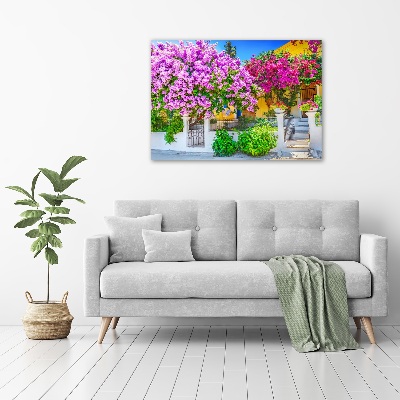 Tableau acrylique Maison avec bougainvilliers