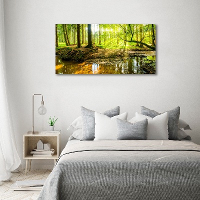 Tableau en acrylique Étang dans la forêt