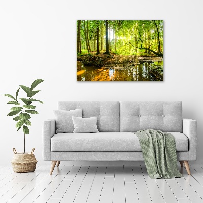 Tableau en acrylique Étang dans la forêt