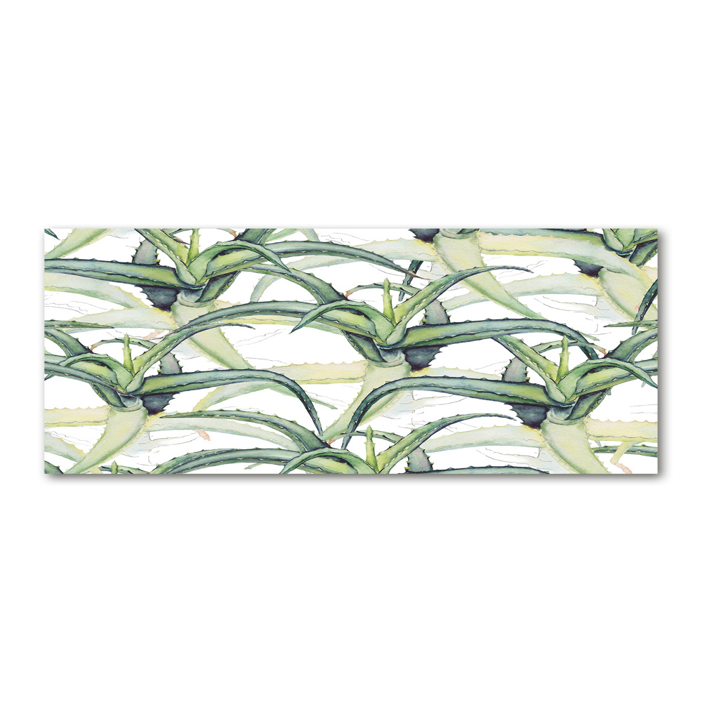 Tableau sur verre acrylique Aloe vera