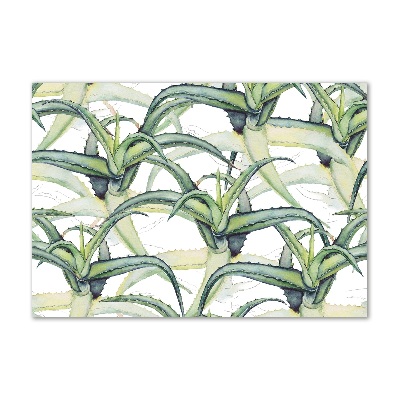 Tableau sur verre acrylique Aloe vera