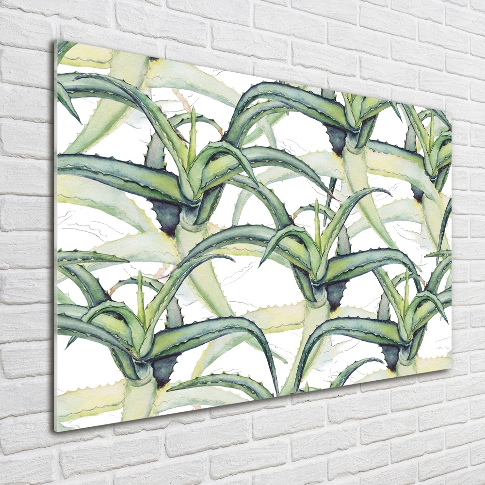 Tableau sur verre acrylique Aloe vera