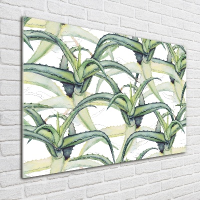 Tableau sur verre acrylique Aloe vera