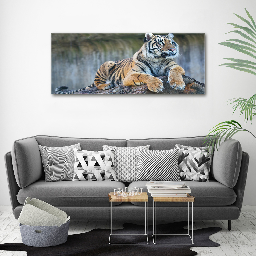 Acrylique tableau Tigre