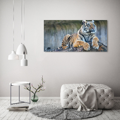 Acrylique tableau Tigre