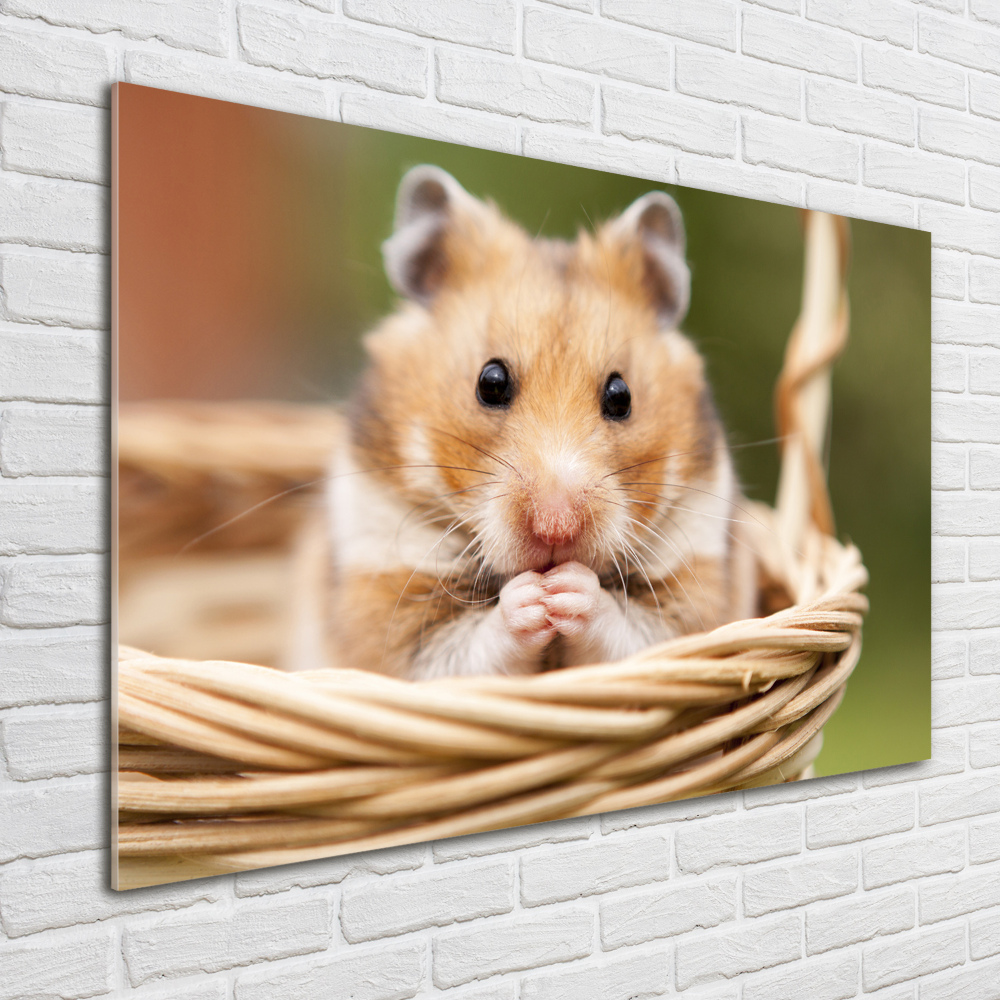 Tableau acrylique Hamster dans un panier