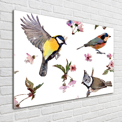 Tableau verre acrylique Oiseaux et fleurs de cerisier