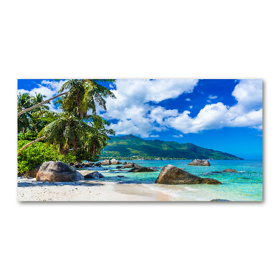 Acrylique tableau Plage des Seychelles