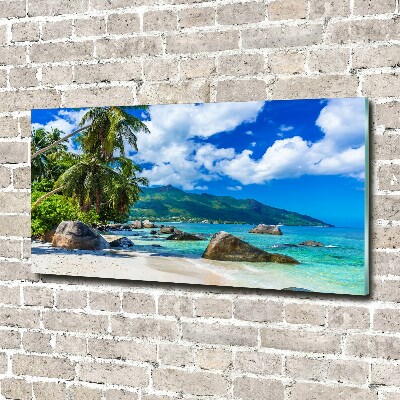 Acrylique tableau Plage des Seychelles