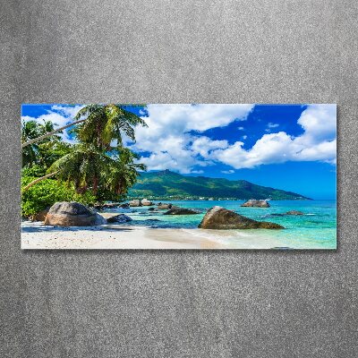 Acrylique tableau Plage des Seychelles