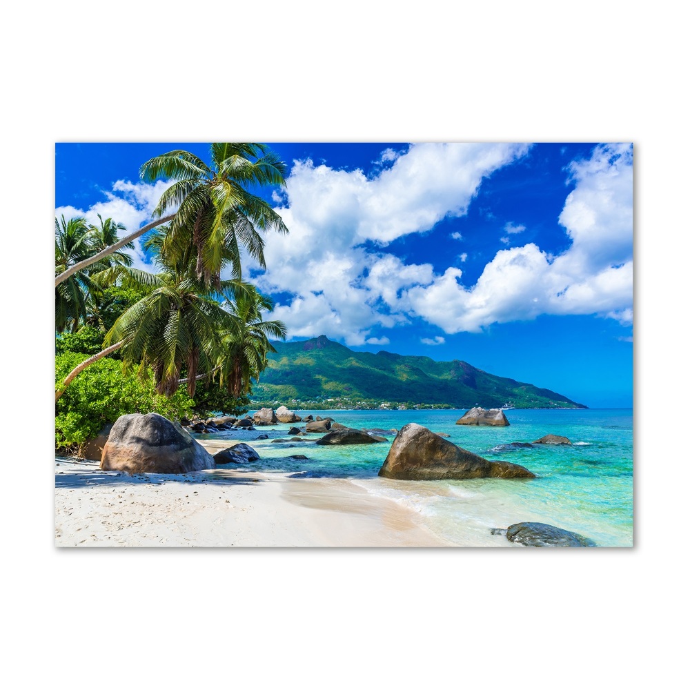 Acrylique tableau Plage des Seychelles